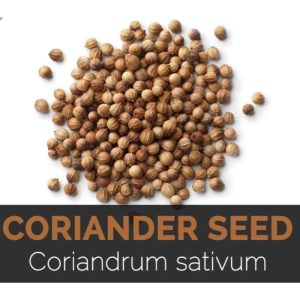 coriander-seed
